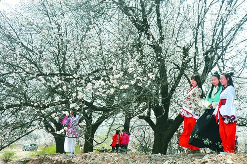 jrkan2023直播体育网